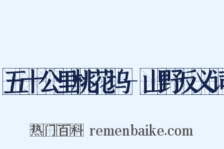 五十公里桃花坞-山野反义词是什么意思的图片